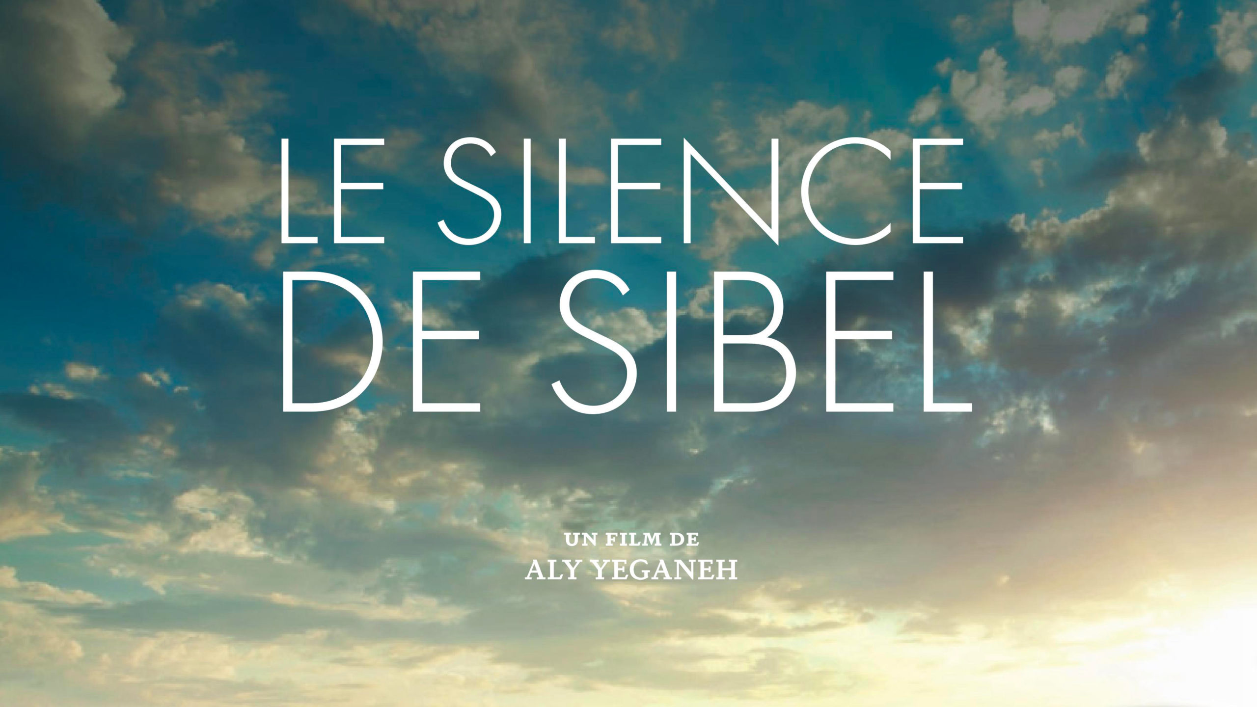 You are currently viewing 7e commission du Conseil de Paris – Projection : Le silence de Sibel